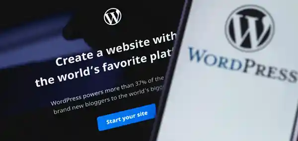 wordpress web designers in Newport south wales wiidoo media design